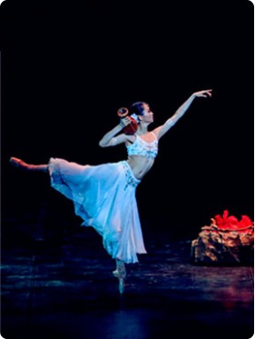  ����������Ű�����硶�輧�� 