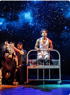 �׶�����ԭ�滰�硶�����ɵ����Ư����-2025���Ҵ��Ժ����Ϸ�缾