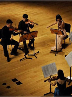 ���ŵ��ݺᡱ�����������������ֻ�-2025�������ֽ�